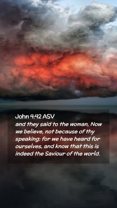 Picture 02 - John 4:42 ASV Mobile Phone Wallpaper - and they said to the woman, Now we believe, not - Mobile Bible Verse Wallpaper