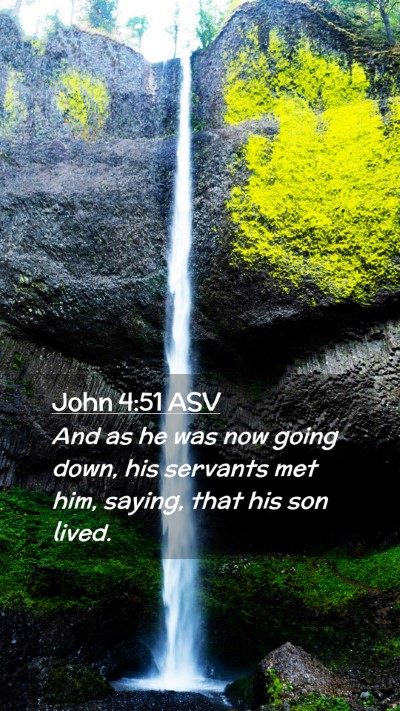 Picture 02 - John 4:51 ASV Mobile Phone Wallpaper - And as he was now going down, his servants met - Mobile Bible Verse Wallpaper