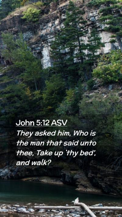 Picture 02 - John 5:12 ASV Mobile Phone Wallpaper - They asked him, Who is the man that said unto - Mobile Bible Verse Wallpaper