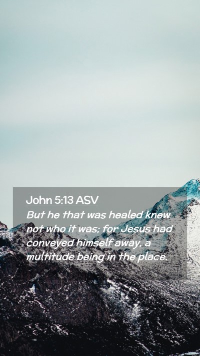Picture 02 - John 5:13 ASV Mobile Phone Wallpaper - But he that was healed knew not who it was; for - Mobile Bible Verse Wallpaper