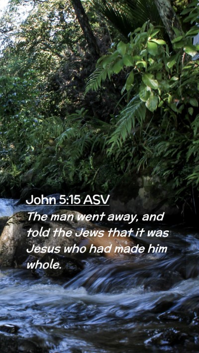 Picture 02 - John 5:15 ASV Mobile Phone Wallpaper - The man went away, and told the Jews that it was - Mobile Bible Verse Wallpaper