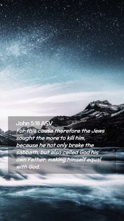 Picture 02 - John 5:18 ASV Mobile Phone Wallpaper - For this cause therefore the Jews sought the more - Mobile Bible Verse Wallpaper