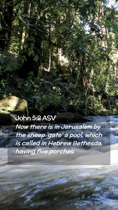 Picture 02 - John 5:2 ASV Mobile Phone Wallpaper - Now there is in Jerusalem by the sheep `gate' a - Mobile Bible Verse Wallpaper
