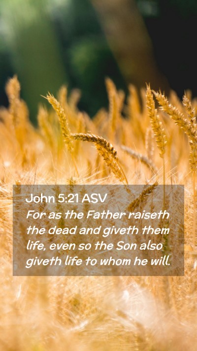 Picture 02 - John 5:21 ASV Mobile Phone Wallpaper - For as the Father raiseth the dead and giveth - Mobile Bible Verse Wallpaper