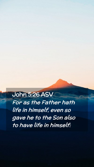 Picture 02 - John 5:26 ASV Mobile Phone Wallpaper - For as the Father hath life in himself, even so - Mobile Bible Verse Wallpaper