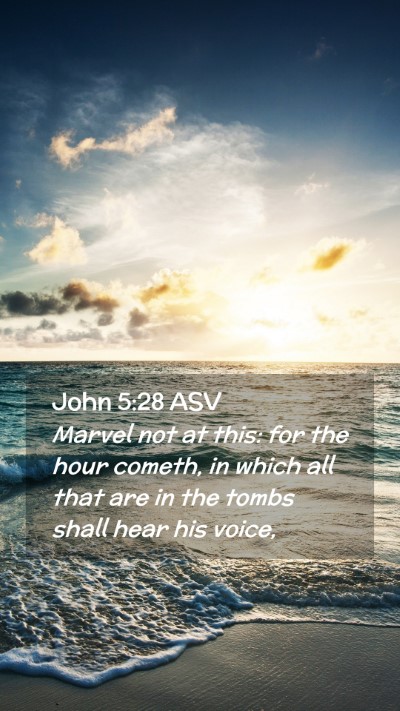 Picture 02 - John 5:28 ASV Mobile Phone Wallpaper - Marvel not at this: for the hour cometh, in which - Mobile Bible Verse Wallpaper