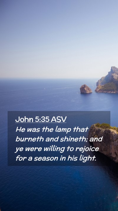 Picture 02 - John 5:35 ASV Mobile Phone Wallpaper - He was the lamp that burneth and shineth; and ye - Mobile Bible Verse Wallpaper