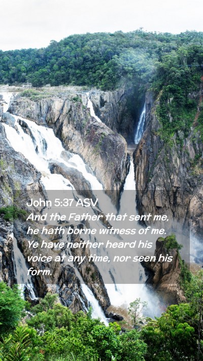Picture 02 - John 5:37 ASV Mobile Phone Wallpaper - And the Father that sent me, he hath borne - Mobile Bible Verse Wallpaper