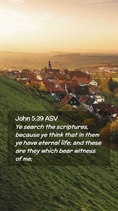 Picture 02 - John 5:39 ASV Mobile Phone Wallpaper - Ye search the scriptures, because ye think that - Mobile Bible Verse Wallpaper