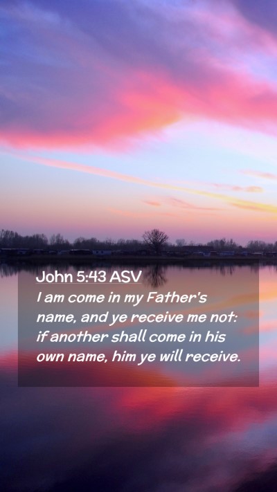Picture 02 - John 5:43 ASV Mobile Phone Wallpaper - I am come in my Father's name, and ye receive me - Mobile Bible Verse Wallpaper