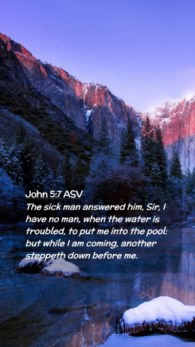 Picture 02 - John 5:7 ASV Mobile Phone Wallpaper - The sick man answered him, Sir, I have no man, - Mobile Bible Verse Wallpaper