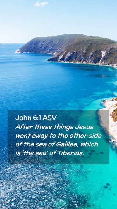 Picture 02 - John 6:1 ASV Mobile Phone Wallpaper - After these things Jesus went away to the other - Mobile Bible Verse Wallpaper
