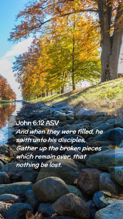 Picture 02 - John 6:12 ASV Mobile Phone Wallpaper - And when they were filled, he saith unto his - Mobile Bible Verse Wallpaper