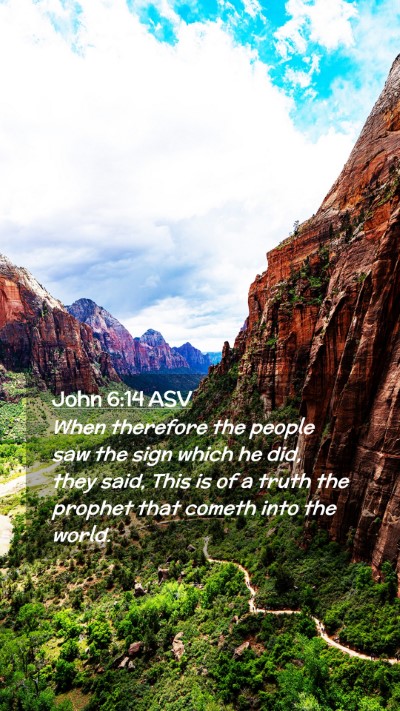 Picture 02 - John 6:14 ASV Mobile Phone Wallpaper - When therefore the people saw the sign which he - Mobile Bible Verse Wallpaper