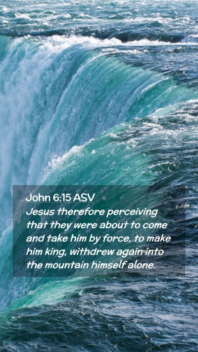 Picture 02 - John 6:15 ASV Mobile Phone Wallpaper - Jesus therefore perceiving that they were about - Mobile Bible Verse Wallpaper