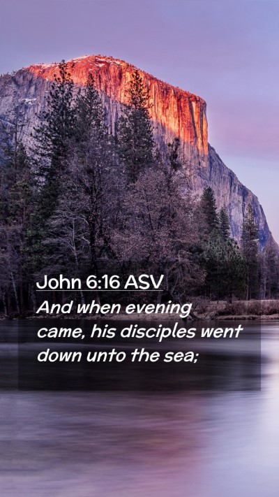 Picture 02 - John 6:16 ASV Mobile Phone Wallpaper - And when evening came, his disciples went down - Mobile Bible Verse Wallpaper
