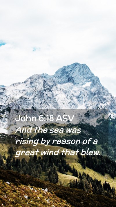 Picture 02 - John 6:18 ASV Mobile Phone Wallpaper - And the sea was rising by reason of a great wind - Mobile Bible Verse Wallpaper