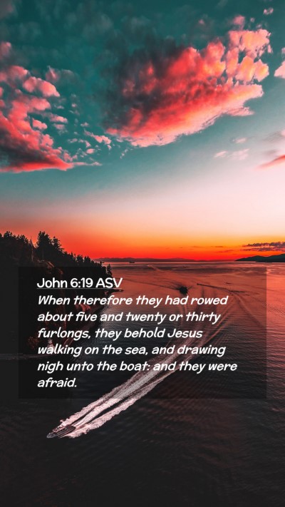 Picture 02 - John 6:19 ASV Mobile Phone Wallpaper - When therefore they had rowed about five and - Mobile Bible Verse Wallpaper