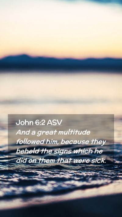 Picture 02 - John 6:2 ASV Mobile Phone Wallpaper - And a great multitude followed him, because they - Mobile Bible Verse Wallpaper