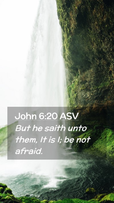 Picture 02 - John 6:20 ASV Mobile Phone Wallpaper - But he saith unto them, It is I; be not - Mobile Bible Verse Wallpaper
