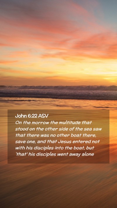 Picture 02 - John 6:22 ASV Mobile Phone Wallpaper - On the morrow the multitude that stood on the - Mobile Bible Verse Wallpaper