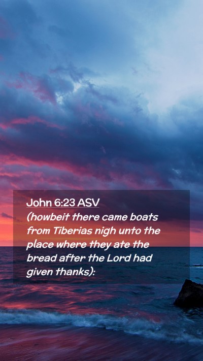 Picture 02 - John 6:23 ASV Mobile Phone Wallpaper - (howbeit there came boats from Tiberias nigh unto - Mobile Bible Verse Wallpaper