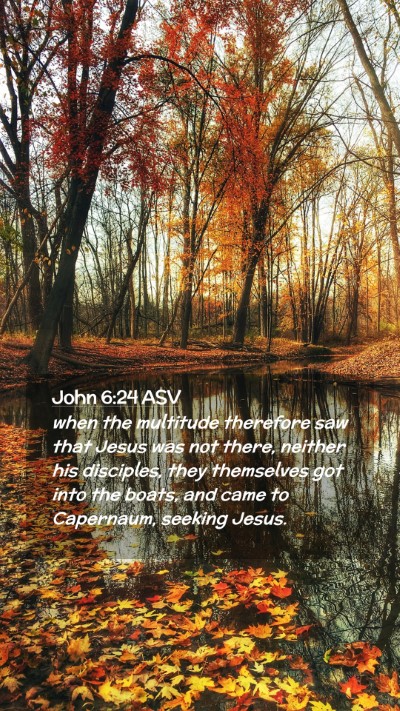 Picture 02 - John 6:24 ASV Mobile Phone Wallpaper - when the multitude therefore saw that Jesus was - Mobile Bible Verse Wallpaper