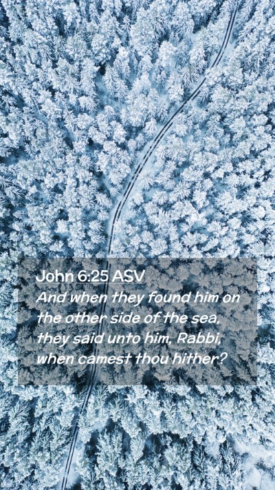 Picture 02 - John 6:25 ASV Mobile Phone Wallpaper - And when they found him on the other side of the - Mobile Bible Verse Wallpaper