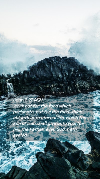 Picture 02 - John 6:27 ASV Mobile Phone Wallpaper - Work not for the food which perisheth, but for - Mobile Bible Verse Wallpaper