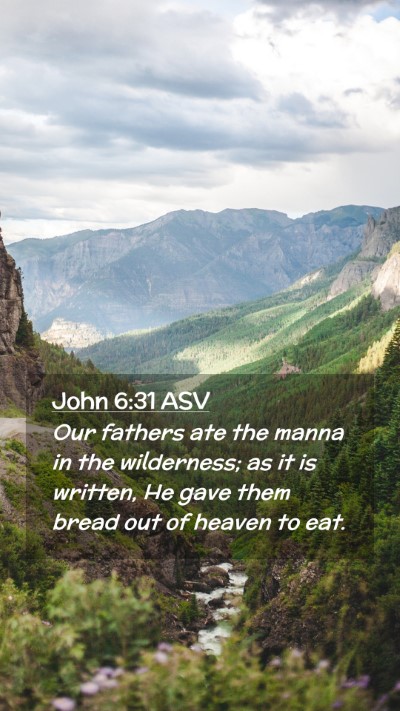 Picture 02 - John 6:31 ASV Mobile Phone Wallpaper - Our fathers ate the manna in the wilderness; as - Mobile Bible Verse Wallpaper