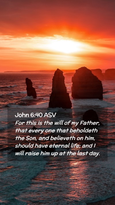 Picture 02 - John 6:40 ASV Mobile Phone Wallpaper - For this is the will of my Father, that every one - Mobile Bible Verse Wallpaper