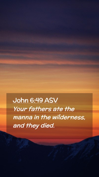 Picture 02 - John 6:49 ASV Mobile Phone Wallpaper - Your fathers ate the manna in the wilderness, and - Mobile Bible Verse Wallpaper