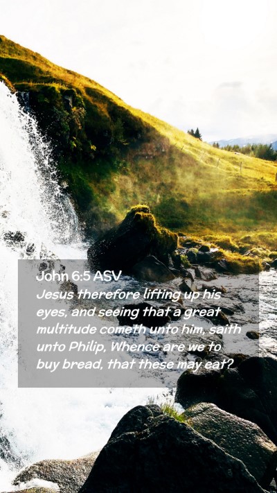 Picture 02 - John 6:5 ASV Mobile Phone Wallpaper - Jesus therefore lifting up his eyes, and seeing - Mobile Bible Verse Wallpaper