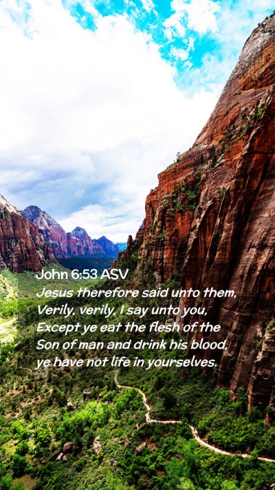 Picture 02 - John 6:53 ASV Mobile Phone Wallpaper - Jesus therefore said unto them, Verily, verily, I - Mobile Bible Verse Wallpaper