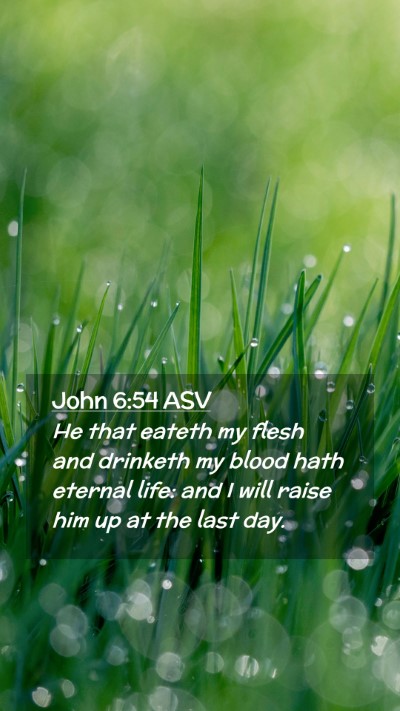 Picture 02 - John 6:54 ASV Mobile Phone Wallpaper - He that eateth my flesh and drinketh my blood - Mobile Bible Verse Wallpaper