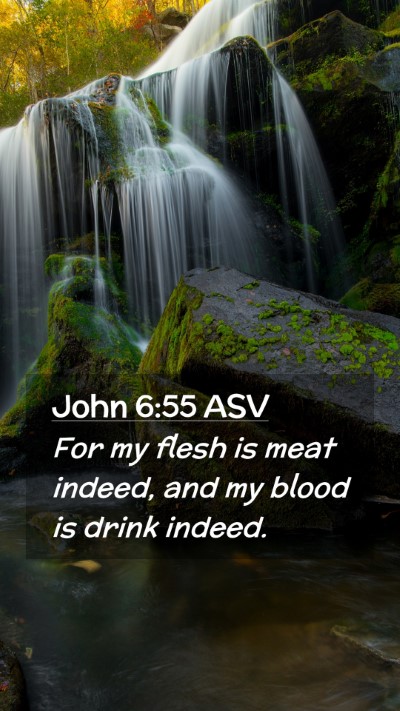 Picture 02 - John 6:55 ASV Mobile Phone Wallpaper - For my flesh is meat indeed, and my blood is - Mobile Bible Verse Wallpaper