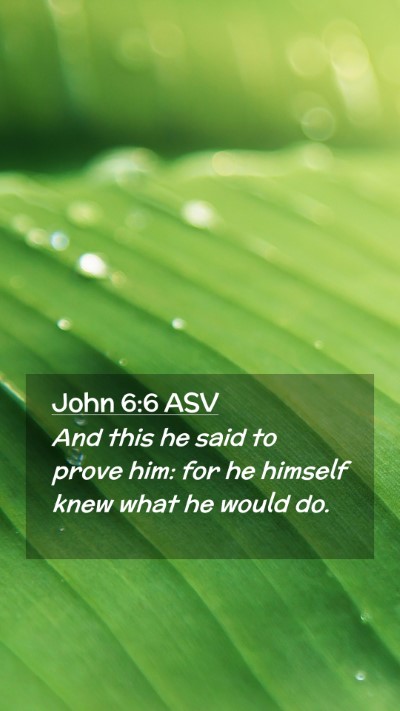 Picture 02 - John 6:6 ASV Mobile Phone Wallpaper - And this he said to prove him: for he himself - Mobile Bible Verse Wallpaper