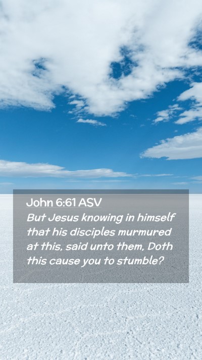 Picture 02 - John 6:61 ASV Mobile Phone Wallpaper - But Jesus knowing in himself that his disciples - Mobile Bible Verse Wallpaper