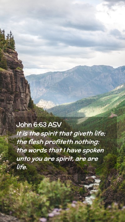 Picture 02 - John 6:63 ASV Mobile Phone Wallpaper - It is the spirit that giveth life; the flesh - Mobile Bible Verse Wallpaper