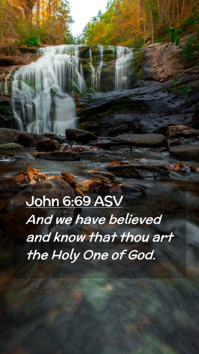Picture 02 - John 6:69 ASV Mobile Phone Wallpaper - And we have believed and know that thou art the - Mobile Bible Verse Wallpaper