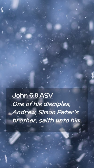 Picture 02 - John 6:8 ASV Mobile Phone Wallpaper - One of his disciples, Andrew, Simon Peter's - Mobile Bible Verse Wallpaper
