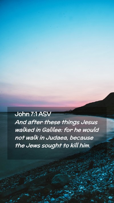 Picture 02 - John 7:1 ASV Mobile Phone Wallpaper - And after these things Jesus walked in Galilee: - Mobile Bible Verse Wallpaper