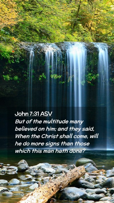 Picture 02 - John 7:31 ASV Mobile Phone Wallpaper - But of the multitude many believed on him; and - Mobile Bible Verse Wallpaper