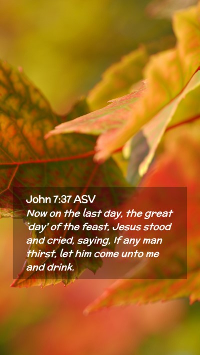 Picture 02 - John 7:37 ASV Mobile Phone Wallpaper - Now on the last day, the great `day' of the - Mobile Bible Verse Wallpaper