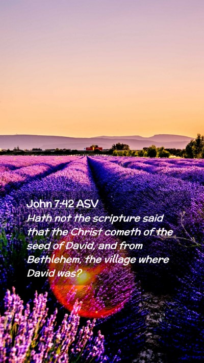 Picture 02 - John 7:42 ASV Mobile Phone Wallpaper - Hath not the scripture said that the Christ - Mobile Bible Verse Wallpaper