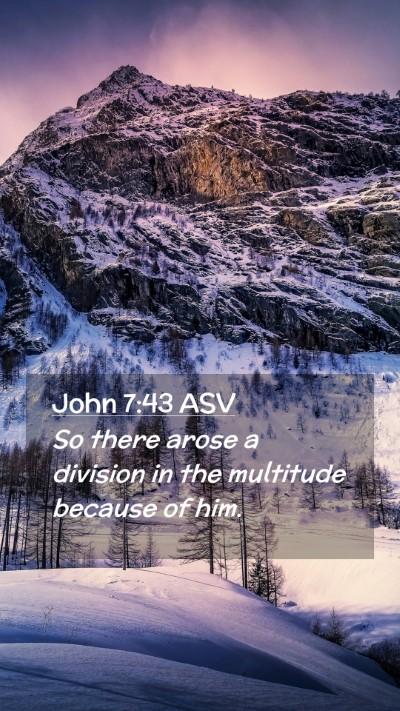 Picture 02 - John 7:43 ASV Mobile Phone Wallpaper - So there arose a division in the multitude - Mobile Bible Verse Wallpaper
