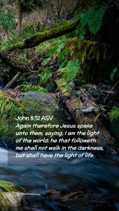 Picture 02 - John 8:12 ASV Mobile Phone Wallpaper - Again therefore Jesus spake unto them, saying, I - Mobile Bible Verse Wallpaper