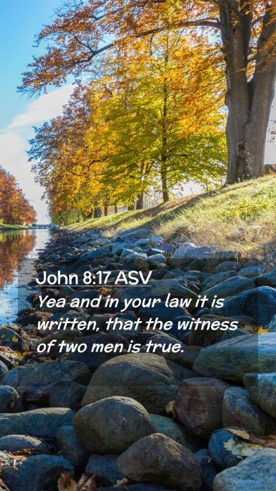 Picture 02 - John 8:17 ASV Mobile Phone Wallpaper - Yea and in your law it is written, that the - Mobile Bible Verse Wallpaper