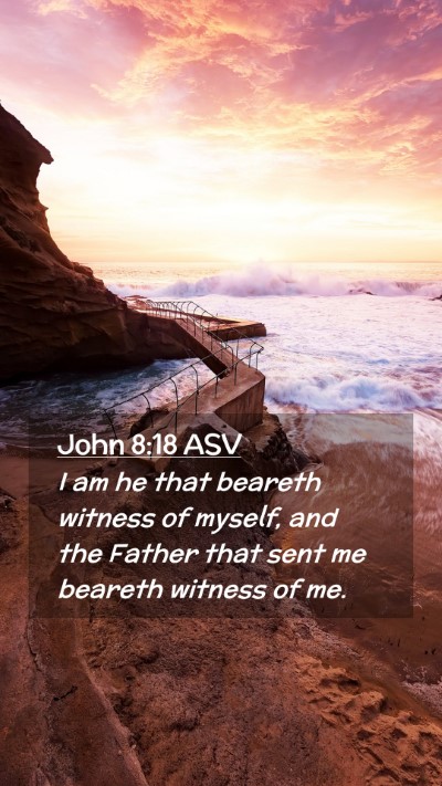 Picture 02 - John 8:18 ASV Mobile Phone Wallpaper - I am he that beareth witness of myself, and the - Mobile Bible Verse Wallpaper