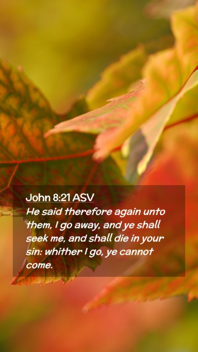 Picture 02 - John 8:21 ASV Mobile Phone Wallpaper - He said therefore again unto them, I go away, and - Mobile Bible Verse Wallpaper
